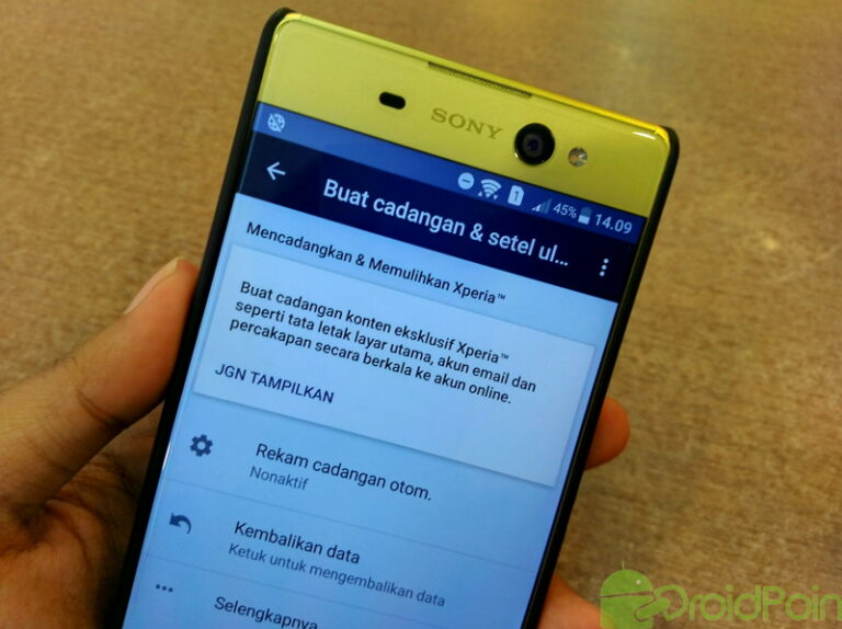 Data Android Apa Saja yang Di Back Up Secara Otomatis?