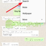 Cara Mencari Kata pada Chat di WhatsApp Android