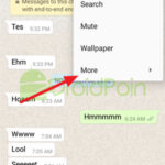 Cara Reset Chat di WhatsApp Android