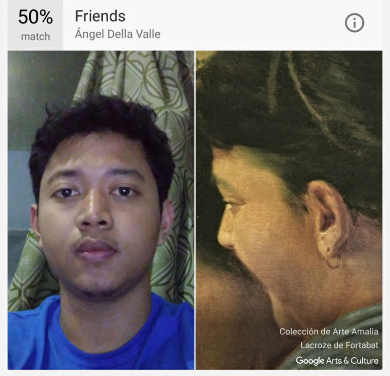 Google Arts & Photo